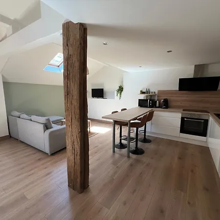 Le Confortable Wifi Parking 4 Personnes Proche Gare 公寓 萨尔堡